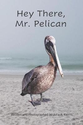 Book cover for Hey There, Mr. Pelican