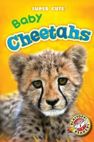 Cover of Baby Cheetahs