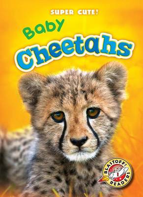 Book cover for Baby Cheetahs