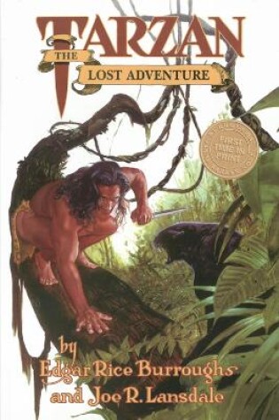 Cover of Edgar Rice Burroughs' Tarzan: The Lost Adventure