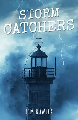 Book cover for Rollercoasters Storm Catchers