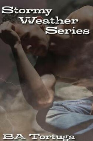 Cover of The Stormy Weather Series
