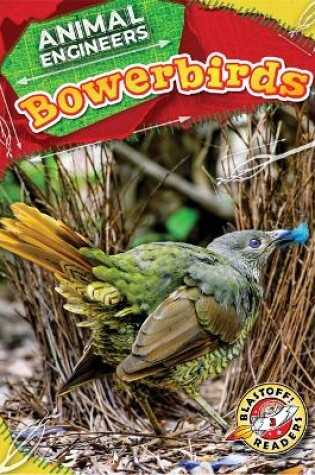 Cover of Bowerbirds