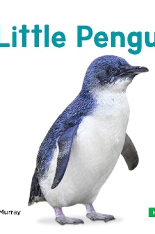 Cover of Mini Animals: Little Penguin