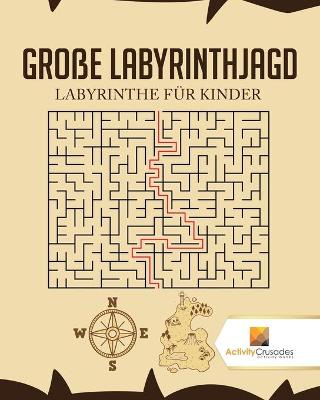 Book cover for Große Labyrinthjagd