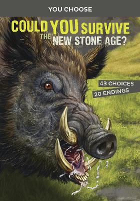 Book cover for Could You Survive the New Stone Age?