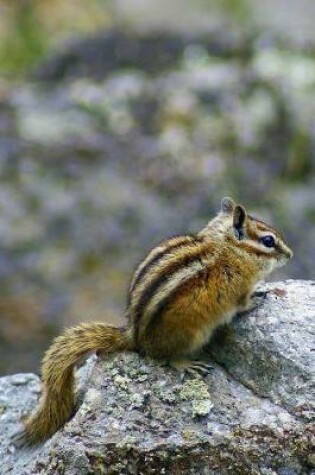 Cover of Chipmunk at Devil's Tower Wyoming USA Journal