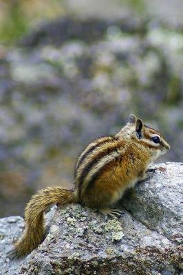 Book cover for Chipmunk at Devil's Tower Wyoming USA Journal