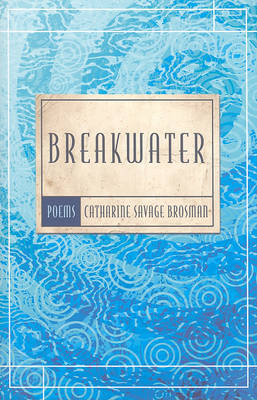 Book cover for Breakwater