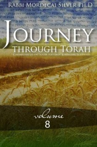 Cover of Journey Through Torah Volume 8