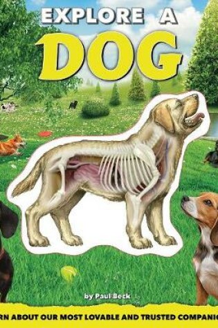 Cover of Explore a Dog