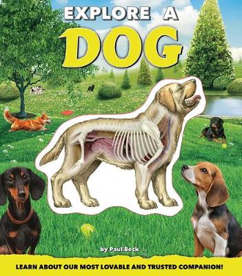 Book cover for Explore a Dog