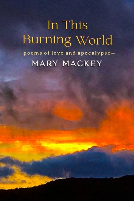 Book cover for In This Burning World