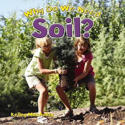 Book cover for Why Do We Need Soil?