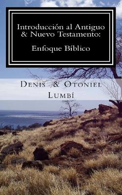 Cover of Introduccion al Antiguo & Nuevo Testamento