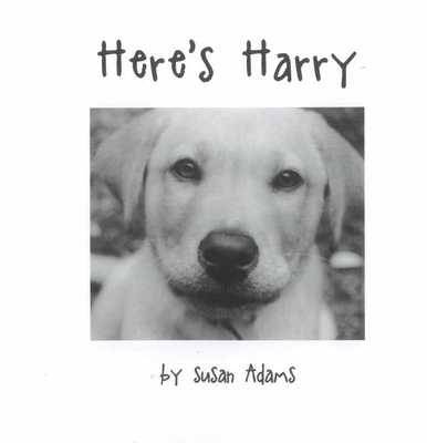 Book cover for Here's Harry