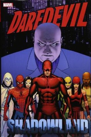 Cover of Daredevil: Shadowland Omnibus