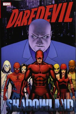 Book cover for Daredevil: Shadowland Omnibus