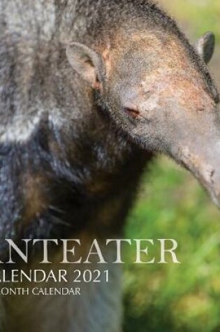 Cover of Anteater Calendar 2021