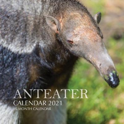 Book cover for Anteater Calendar 2021