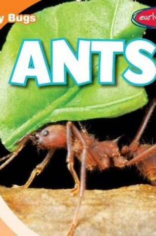 Cover of Ants