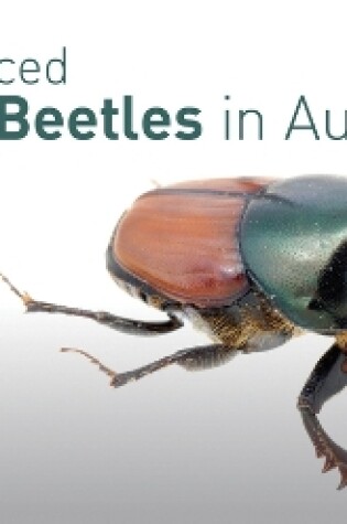 Cover of Introduced Dung Beetles in Australia