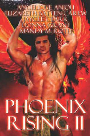 Cover of Phoenix Rising II
