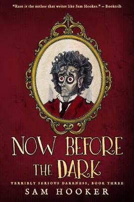 Book cover for Now Before the Dark