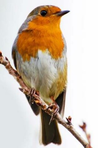 Cover of Robin Erithacus Rubecula (Birds of the World)