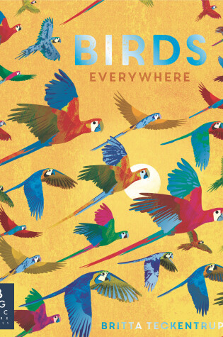 Cover of Birds Everywhere