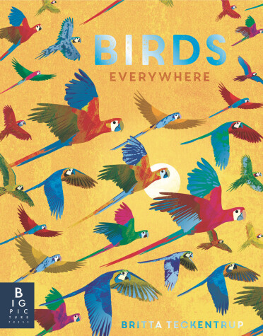 Book cover for Birds Everywhere
