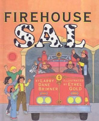 Book cover for Firehouse Sal