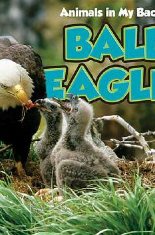 Cover of Bald Eagles with Code