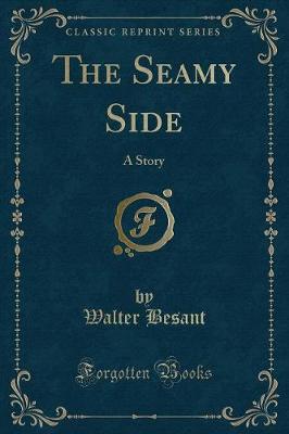 Book cover for The Seamy Side