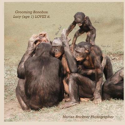 Book cover for Grooming bonobos