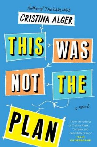 Cover of This Was Not the Plan: A Novel