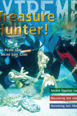 Cover of Treasure Hunter!