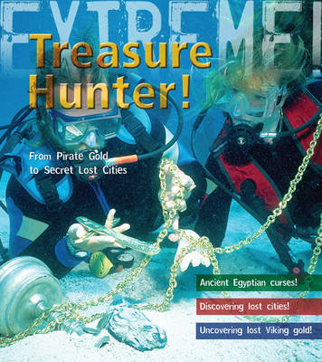 Book cover for Treasure Hunter!