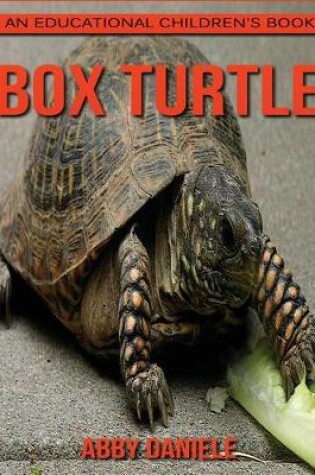 Cover of Box Turtle! An Educational Children's Book about Box Turtle with Fun Facts & Photos