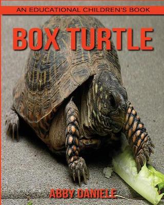 Book cover for Box Turtle! An Educational Children's Book about Box Turtle with Fun Facts & Photos