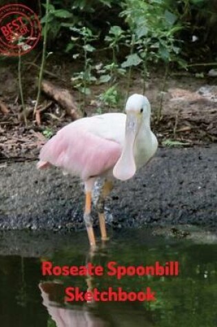 Cover of Roseate Spoonbill Sketchbook