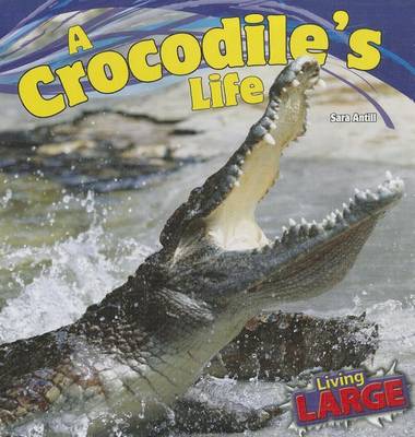 Book cover for A Crocodile's Life