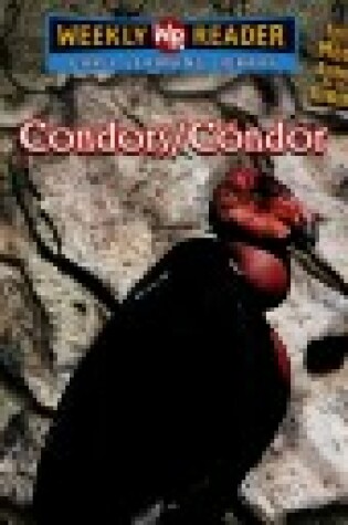 Cover of Condors / Cóndor