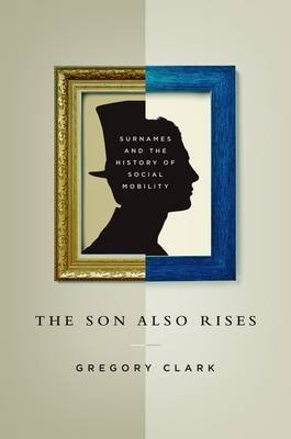 Book cover for The Son Also Rises