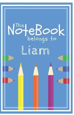 Book cover for Liam's Journal