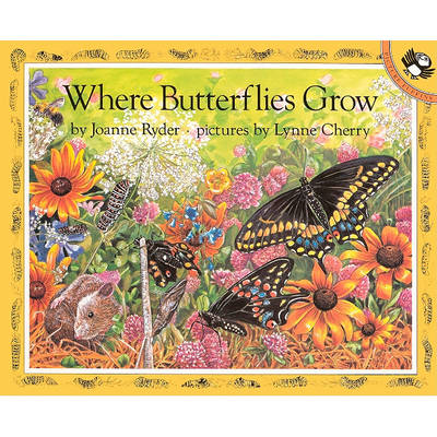 Book cover for Where Butterflies Grow