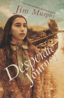 Book cover for Desperate Journey