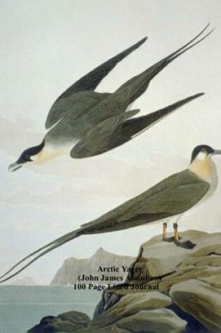 Cover of Arctic Yager (John James Audubon) 100 Page Lined Journal