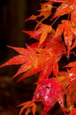 Cover of Red Japanese Maple Leaves Glistening From the Rain Journal