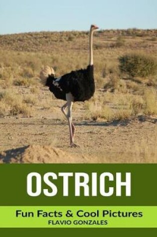 Cover of Ostrich